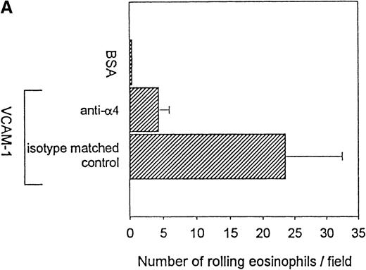 Fig. 3. Effect of anti-4, anti-β1, and anti-β7 integrin mAbs on eosinophil rolling on VCAM-1 in vitro. / Eosinophils (preincubated with either an anti-α4, anti-β1, anti-β7, anti-β1 and anti-β7 in combination, or control mAb) were infused at a flow rate of 0.7 dyn/cm2 into a parallel plate flow chamber containing VCAM-1– or BSA-coated coverslip. The number of rolling eosinophils during continuous flow periods of 2 minutes was recorded and subjected to offline analysis. Results of experiments performed are presented as the mean ± SEM (n = 3 experiments). (A) The anti-α4 mAb significantly inhibited eosinophil rolling on VCAM-1 (P = .01 vs control). (B) The anti-β1 and anti-β7 mAbs in combination (P = .01 vs control) as well as the individual anti-β1 mAb (P = .05 vs control) and anti-β7 mAb (P = .05 vs control) inhibited eosinophil rolling on VCAM-1.