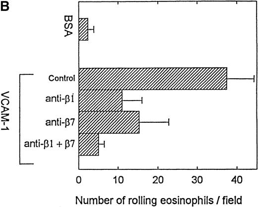 Fig. 3. Effect of anti-4, anti-β1, and anti-β7 integrin mAbs on eosinophil rolling on VCAM-1 in vitro. / Eosinophils (preincubated with either an anti-α4, anti-β1, anti-β7, anti-β1 and anti-β7 in combination, or control mAb) were infused at a flow rate of 0.7 dyn/cm2 into a parallel plate flow chamber containing VCAM-1– or BSA-coated coverslip. The number of rolling eosinophils during continuous flow periods of 2 minutes was recorded and subjected to offline analysis. Results of experiments performed are presented as the mean ± SEM (n = 3 experiments). (A) The anti-α4 mAb significantly inhibited eosinophil rolling on VCAM-1 (P = .01 vs control). (B) The anti-β1 and anti-β7 mAbs in combination (P = .01 vs control) as well as the individual anti-β1 mAb (P = .05 vs control) and anti-β7 mAb (P = .05 vs control) inhibited eosinophil rolling on VCAM-1.