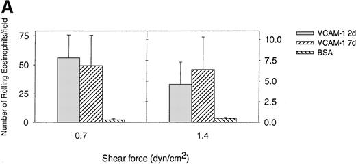 Fig. 4. Eosinophil rolling and firm adhesion on VCAM-1 2d and VCAM-1 7d. / Eosinophils were infused at a flow rate of 0.7 and 1.4 dyn/cm2 into a parallel plate flow chamber containing VCAM-1 2d–, VCAM-1 7d–, or BSA-coated coverslip. The number of rolling eosinophils (A) and adherent eosinophils (B) during continuous flow periods of 2 minutes was recorded and subjected to offline analysis. Results of experiments performed are presented as the mean ± SEM (n = 4 experiments). At flow rates of 0.7 dyn/cm2, significant numbers of eosinophils rolled on VCAM-1 2d (P = .01 vs BSA) and VCAM-1 7d (P = .01 vs BSA) as well as adhered to VCAM-1 2d (P = .01 vs BSA) and VCAM-7d (P = .001 vs BSA). There was no significant difference in the number of eosinophils rolling or adhering to VCAM-1 2d vs VCAM-1 7d (P = not significant).