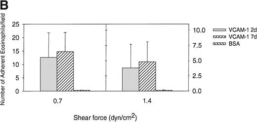 Fig. 4. Eosinophil rolling and firm adhesion on VCAM-1 2d and VCAM-1 7d. / Eosinophils were infused at a flow rate of 0.7 and 1.4 dyn/cm2 into a parallel plate flow chamber containing VCAM-1 2d–, VCAM-1 7d–, or BSA-coated coverslip. The number of rolling eosinophils (A) and adherent eosinophils (B) during continuous flow periods of 2 minutes was recorded and subjected to offline analysis. Results of experiments performed are presented as the mean ± SEM (n = 4 experiments). At flow rates of 0.7 dyn/cm2, significant numbers of eosinophils rolled on VCAM-1 2d (P = .01 vs BSA) and VCAM-1 7d (P = .01 vs BSA) as well as adhered to VCAM-1 2d (P = .01 vs BSA) and VCAM-7d (P = .001 vs BSA). There was no significant difference in the number of eosinophils rolling or adhering to VCAM-1 2d vs VCAM-1 7d (P = not significant).
