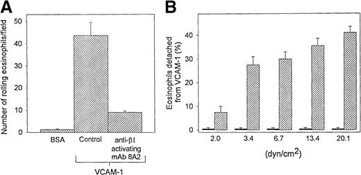 Fig. 5. Effect of β1 integrin activation on eosinophil rolling and detachment from VCAM-1 in vitro. / Eosinophils (preincubated with a β1 integrin–activating Ab or control Ab) were infused into a parallel plate flow chamber containing VCAM-1– or BSA-coated coverslip. The number of (A) rolling eosinophils during continuous flow periods of 2 minutes was recorded and subjected to offline analysis. To evaluate the influence of the β1-activating antibody on the resistance of eosinophils to detachment from VCAM-1 (B), stepwise increases in shear stress were applied for 15 seconds at each shear force (2 to 20 dyn/cm2) to eosinophils adherent to VCAM-1 in the flow chamber. The number of eosinophils firmly adherent to VCAM-1 per field was recorded before and after each stepwise increase in shear stress. The number of detached eosinophils is expressed as a percentage of the total number of eosinophils adherent to VCAM-1 before stepwise increases in shear stress were applied to the coverslip in the flow chamber. Results of experiments performed at a flow rate of 0.7 dyn/cm2 are presented as the mean ± SEM (n = 3 experiments). Solid bar, mAb 8A2 treated; hatched bar, control.