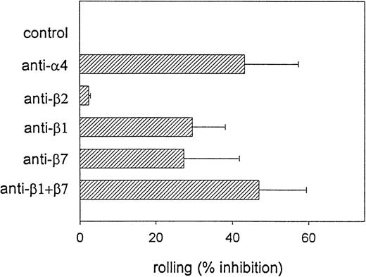 Fig. 6. 4β1 and 4β7 integrins support eosinophil rolling in postcapillary venules in vivo. / CFDA-labeled eosinophils were preincubated with either function-blocking anti-α4, anti-β1, anti-β7, or anti-β1 plus anti-β7 mAb in combination prior to the administration of eosinophils into the mesenteric microcirculation. The fraction of rolling eosinophils (Rf ) was determined in IL-1β–stimulated rabbit mesenteric venules (n = 5 to 12 rabbits). The ability of the different mAbs to block eosinophil rolling (% inhibition) was determined. Data represent mean ± SD. There was significant inhibition of eosinophil rolling induced by the anti-α4 mAb (P = .0001 vs control), the anti-β1 mAb (P = .001 vs control), the anti-β7 mAb (P = .004 vs control), and the combination of anti-β1 and anti-β7 mAbs (P = .0001 vs control) but not by the anti-β2 mAb (P = not significant vs control).