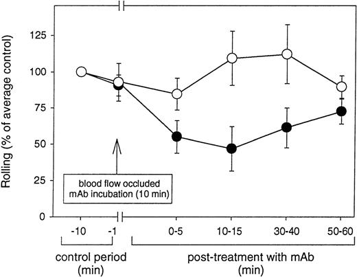 Fig. 7. Anti-VCAM-1 mAb Rb 1/9 blocks eosinophil rolling in venular endothelium in vivo. / Fluorescently labeled eosinophils were injected into the superior mesenteric artery and their baseline rolling on IL-1β–stimulated venular endothelium determined. The flow of the mesenteric circulation was temporarily occluded and an anti-VCAM-1 (Rb 1/9) or control (mouse IgG1) mAb infused. After a 10-minute incubation of the mAb with the endothelial surface, the blood flow was restored and the CFDA-labeled eosinophils injected. The flux of rolling eosinophils was determined at different time points (up to 1 hour postinfusion of eosinophils into the antibody treated mesenteric venules) by frame-by-frame analysis of recorded video images. The effect of mAb blockade lasted for up to about 30 minutes after resumption of flow. The results are expressed as percent rolling of eosinophils compared with rolling observed before mAb treatment (% of average control). The values represent mean ± SD. There was significant inhibition of eosinophil rolling 10 to 15 minutes posttreatment with mAb Rb 1/9 (P = .05 vs control) but not with mouse IgG (P = not significant vs control). •, mAb Rb 1/9; ○, mouse IgG1.