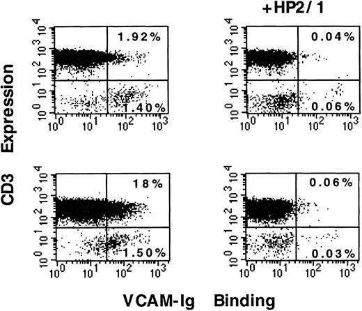 Fig. 1. sVCAM-1 binding to isolated peripheral blood lymphocytes. / Human peripheral blood lymphoid cells were isolated as described in “Materials and Methods.” Cells were resuspended in Tyrode's buffer containing 1 mmol/L CaCl2, 1 mmol/L MgCl2, and 0.1% BSA and incubated for 30 minutes at room temperature in the absence of stimulation (upper panels) or in the presence of PMA (50 ng/mL) (lower panels). In the presence or absence of the function blocking anti-α4 mAb HP2/1, 7 Ig-domain VCAM-Ig (20 μg/mL) was added to the cells, and the mixture was incubated for 30 minutes at room temperature. After washing, the cells were stained with FITC-anti-CD3 mAb (HIT3a). At the same time, they were stained with PE-conjugated donkey antihuman IgG to detect the VCAM-Ig fusion protein as described in “Materials and Methods.” The percentage of cells in quadrants is indicated. Results are representative of 3 separate experiments.
