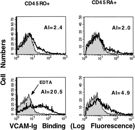 Fig. 2. PMA stimulates sVCAM-1 binding to CD45RO-positive peripheral T-lymphocytes. / Human peripheral blood T-lymphocytes were isolated as described in “Materials and Methods”. Cells were resuspended in Tyrode's buffer containing 1 mmol/L CaCl2, 1 mmol/L MgCl2, and 0.1% BSA (solid line) or 5 mmol/L EDTA (shaded line). They were incubated for 30 minutes at room temperature in the absence of stimulation (upper panels) or in the presence of PMA (50 ng/ml) (lower panels). 7 Ig-domain VCAM-Ig (20 μg/mL) was added, and binding was allowed to proceed for 30 minutes at room temperature. After they were washed, cells were incubated with anti-CD45RA mAb (HI100) or anti-CD45RO mAb (UCHL1). Binding of VCAM-Ig and anti-CD45 mAbs was detected with PE-conjugated donkey antihuman IgG and FITC-conjugated donkey antimouse IgG, respectively, as described in “Materials and Methods.” Histograms depict sVCAM-1 binding to cells gated for CD45 expression. To obtain a quantitative estimate of sVCAM-1 binding, we calculated a numeric activation index (AI) defined as 100 × (Fo−Fr)/Fmax−Fr), where Fo is the mean fluorescence intensity of sVCAM-1 binding, Fr is background fluorescence in the presence of 5 mmol/L EDTA, and Fmax is the fluorescence intensity in the presence of 1 mmol/L MnCl2 (not shown). Results are representative of 3 separate experiments.