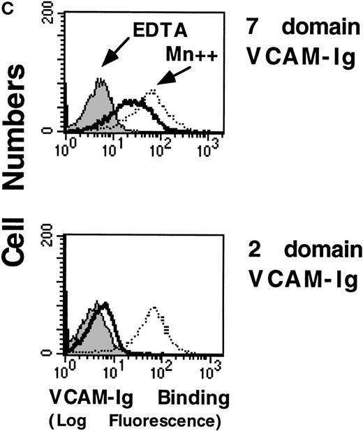 Fig. 4. High affinity binding of a sVCAM-Ig fusion protein and soluble FN to 4β1 integrins on Jurkat cells. / Cells were resuspended in DMEM containing 0.1% BSA or in a Tyrode's buffer containing 1 mmol/L MnCl2 and 0.1% BSA (Mn++). The indicated concentrations of VCAM-Ig (A) or FITC-FN (B) were added, and the mixtures were incubated for 30 minutes at room temperature. ○, Mn++ added; □, no addition. Where indicated by • and ▪, function-blocking anti-α4 mAb HP2/1 was added before the soluble ligand. VCAM-Ig binding was evaluated with FITC-conjugated donkey antihuman IgG using flow cytometry as described in “Materials and Methods” and expressed as geometric mean fluorescence intensity (MFI). (C) Jurkat cells were resuspended in either DMEM containing 0.1% BSA (solid line), DMEM with the addition of 5 mmol/L EDTA (shaded line), or Tyrode's buffer containing 1 mmol/L MnCl2(dotted line). VCAM-Ig containing only the first 2 N-terminal or all 7 Ig domains (20 μg/mL) was added to the cells, and the mixtures were incubated at room temperature for 30 minutes. Results are representative of 3 separate experiments.