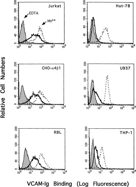 Fig. 5. Cell-type–specific binding of sVCAM-1 to 4β1 integrin. / Jurkat, CHO-α4β1, RBL, THP-1, U937, or HUT-78 was resuspended in either DMEM containing 0.1% BSA (solid line), DMEM with the addition of 5 mmol/L EDTA (shaded line), or Tyrode's buffer containing 1 mmol/L MnCl2 (dotted line). Seven Ig-domain VCAM-Ig (20 μg/mL) was added, and the mixture was incubated at room temperature for 30 minutes. VCAM-Ig binding was detected with FITC-conjugated donkey antihuman IgG as described in “Materials and Methods.” Results are representative of 3 separate experiments.