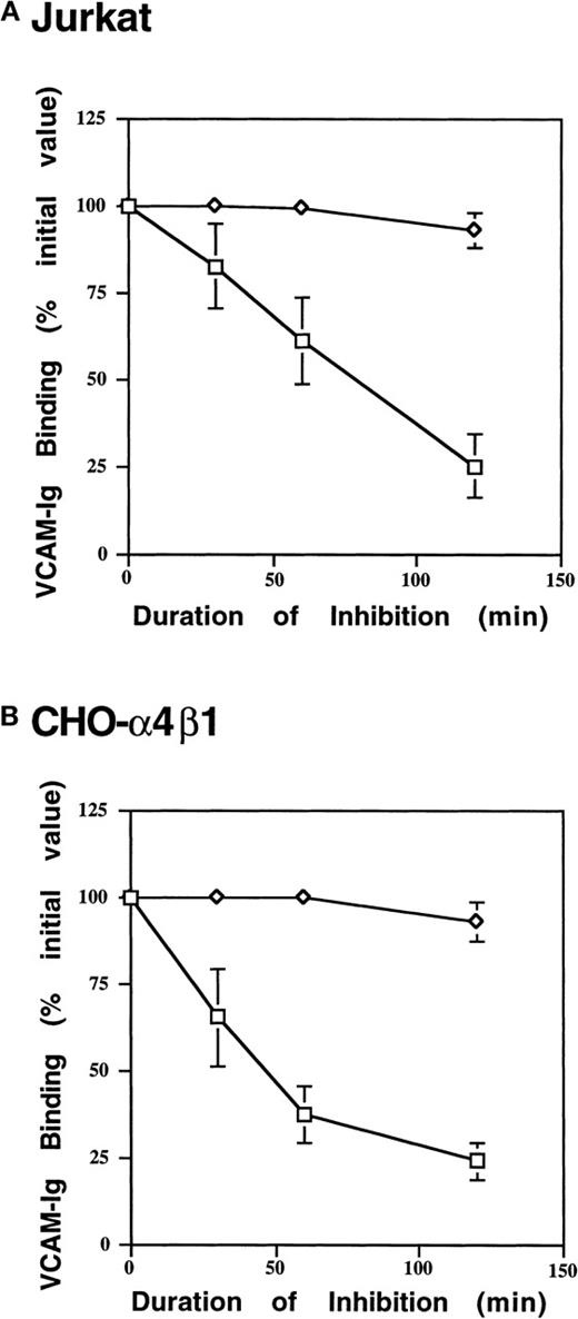 Fig. 6. Cellular-energy depletion suppresses sVCAM-Ig binding. / Jurkat (A) or CHO-α4β1 (B) cells were placed in glucose-free Tyrode's buffer containing 2-deoxyglucose (2 mg/mL) and sodium azide (0.1% wt/vol) and were incubated at 37°C for 0, 30, 60, or 120 minutes. Subsequently, cells were resuspended in DMEM or Tyrode's buffer containing 1 mmol/L MnCl2 (Mn++), and 7 Ig-domain VCAM-Ig binding was assessed as described in “Materials and Methods”. VCAM-Ig binding was expressed as a percentage of initial binding in cells incubated in the absence of 2-deoxyglucose and sodium azide. Results are the mean ± SEM of 3 independent experiments. ◊, Mn++ added; □, no addition.