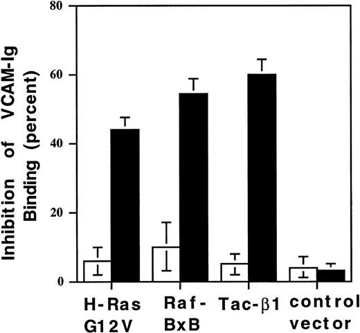 Fig. 8. Activated H-Ras and Raf-1 suppress 4β1 integrin-mediated VCAM-1 ligand binding. / CHO-α4β1 cells were transiently transfected with cDNA encoding Tac-α5 or Tac-β1 alone or with a combination of Tac-α5 plus vector control DNA, H-Ras G12V, or RafBxB. After 48 hours, cells were analyzed for Tac expression and soluble VCAM-Ig binding by 2-color flow cytometry. 7 Ig-domain sVCAM-Ig binding was evaluated in low Tac-expressing cells, designated Tac(−) (□), and high Tac expressing cells, designated Tac(+) (▪). Percentage inhibition of VCAM-Ig binding was calculated relative to cells transfected with Tac-α5 cDNA alone. Results are the means ± SEM of 3 separate experiments.