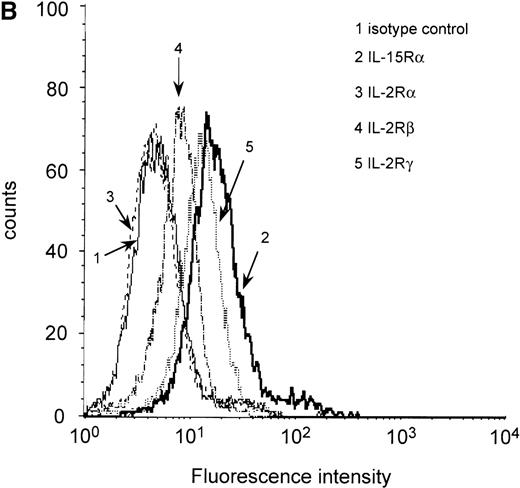 Fig. 1. RT-PCR and flow cytometric analyses of IL-15R, IL-2R, and control GAPDH. / (A) RT-PCR analysis of expression of IL-15Rα (upper) and control GAPDH (lower) in myeloma cell lines. The results indicated that all myeloma cell lines expressed the mRNA of IL-15Rα (778 bp) in 2 alternatively spliced isoforms. Lane 1: PBMC from a healthy donor as positive control; lane 2: erythrocytes from a healthy donor as negative control; lane 3: dH2O as technical negative control; lane 4: RPMI 8226; lane 5: OPM-2; lane 6: MC-Car; lane 7: LP-1; lane 8: IM-9; lane 9: ARH-77; and lane 10: the molecular weight marker pGEM (Promega). (B) Flow cytometric analysis of all constituents of the IL-15R and the IL-2R in RPMI 8226 cells. Cells were stained with antibodies specific for the relevant subunits of the receptors or the respective isotype-matched control mAb. Fluorescence intensities (FI) were determined by flow cytometry. Each histogram represents 3 independent measurements.