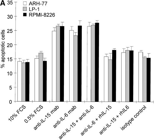 Fig. 3. Effects of blocking IL-15 or IL-6 in myeloma cell lines. / (A) Increase in apoptosis by blocking IL-15 or IL-6 in myeloma cell lines producing IL-15. ARH-77, LP-1, and RPMI 8226 cells were cultured in RPMI-1640 supplemented with 10% FCS or 0.5% FCS. Neutralizing agents anti–IL-15 (5 μg/mL) or anti–IL-6 (5 μg/mL) mAbs were added alone or in combination with recombinant IL-15 (10 ng/mL) or IL-6 (100 ng/mL), respectively. Bars indicate the mean percentages of apoptotic cells ± SEM (standard error of mean), which was determined after a 3-day cultivation in 4 independent experiments. (B) Effects of blocking IL-15 in the MC-Car cell line without detectable intracellular IL-15 protein. MC-Car cells were treated as described for part A. Bars indicate the mean percentages of apoptotic cells ± SEM of 4 independent experiments. Statistical analysis revealed no significant effects of blocking either autocrine IL-15 (P = 0.7) or IL-6 (P =0.3).