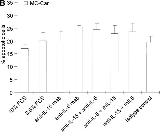 Fig. 3. Effects of blocking IL-15 or IL-6 in myeloma cell lines. / (A) Increase in apoptosis by blocking IL-15 or IL-6 in myeloma cell lines producing IL-15. ARH-77, LP-1, and RPMI 8226 cells were cultured in RPMI-1640 supplemented with 10% FCS or 0.5% FCS. Neutralizing agents anti–IL-15 (5 μg/mL) or anti–IL-6 (5 μg/mL) mAbs were added alone or in combination with recombinant IL-15 (10 ng/mL) or IL-6 (100 ng/mL), respectively. Bars indicate the mean percentages of apoptotic cells ± SEM (standard error of mean), which was determined after a 3-day cultivation in 4 independent experiments. (B) Effects of blocking IL-15 in the MC-Car cell line without detectable intracellular IL-15 protein. MC-Car cells were treated as described for part A. Bars indicate the mean percentages of apoptotic cells ± SEM of 4 independent experiments. Statistical analysis revealed no significant effects of blocking either autocrine IL-15 (P = 0.7) or IL-6 (P =0.3).