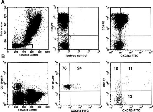 Fig. 1. CXCR3 expression in normal peripheral blood lymphocytes. / (A) Flow cytometric detection of CXCR3 in peripheral blood using the FITC-conjugated monoclonal antibody, 49801.111. Cytograms represent staining of cells within the lymphocyte gating for CD5 and CXCR3 (right panel) in comparison with an IgG1 isotype control antibody (middle panel). (B) CXCR3 expression in peripheral blood B cells as determined by CD19/forward scatter gating in a 3-color staining profile (CD19/CD5/CXCR3). Numbers correspond to percentage of total gated B cells in each quadrant.