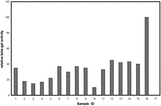 Fig. 1. β-Gal activities of positive clones isolated by the yeast 2-hybrid system. / The 16 clones correspond to those genes described in Table 1. Samples 1-7, 8-12, and 13-15 belong to groups A, B, and C, respectively. Sample 16 is a positive control for the β-Gal assay using a full-length Gal4 expression plasmid (pCL1; Clontech), and sample 17 is a negative control (empty vector-transformed) for the assay.