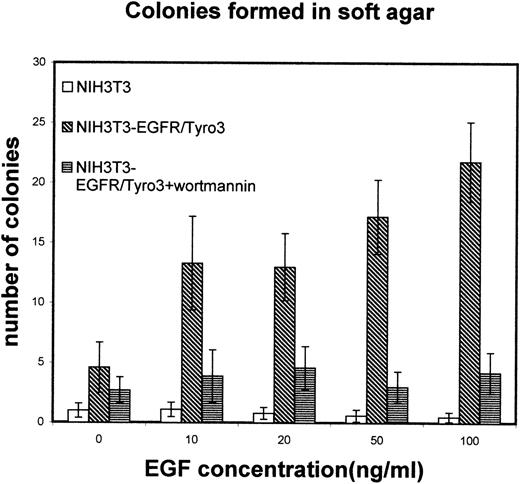 Fig. 8. Tyro3 activation results in transformation. / NIH3T3-EGFR/Tyro3 and NIH3T3 cells were cultured in the presence of various concentrations of EGF and analyzed for their ability to form anchorage-independent colonies in soft-agar assays. As controls, wortmannin was supplemented to EGF-treated EGFR/Tyro3 cells. EGF, epithelial growth factor.