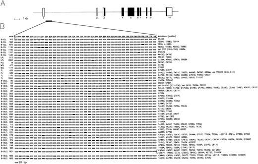 Fig. 3. Characterization of BCL-6 mutations in 46 representative B-cell neoplasms. / (A) Schematic representation of the BCL-6 gene. Coding and non-coding exons are indicated by filled and empty boxes, respectively. The PCR fragment amplified for mutational analysis is approximately positioned below the BCL-6 gene map and expanded in panel B to show the distribution of mutations. (B) Each line of rectangles represent the BCL-6 sequence of a different B-cell neoplasm. Each case is indicated by a numbered code, together with the corresponding diagnosis (on the left; B-CLL, B-cell chronic lymphocytic leukemia; LPL, lymphoplasmacytoid lymphoma; HCL, hairy cell leukemia; MCL, mantle cell lymphoma; FL, follicular lymphoma; B-DLCL, B-lineage diffuse large cell lymphoma). Each rectangle represents a 20 bp interval of the BCL-6 sequence; nucleotide positions are indicated in the top line. The first nucleotide of the BCL-6 cDNA was arbitrarily chosen as +1. Filled rectangles indicate the presence of mutation(s) in the corresponding 20 bp of the BCL-6 sequence. The characteristics of individual mutations are detailed on the right (eg, G549C, G → C at nucleotide position 549).