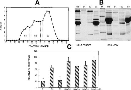 Fig. 5. Different-sized serum components are required for rosette formation. / (A) Sephacryl S-200 elution profile. Six-microliter fractions were collected, and the A280nm was determined for each. Fractions were pooled (S1-S3) and concentrated to the original volume of serum loaded. (B) SDS-PAGE profile of proteins in pooled fractions eluted from Sephacryl S-200. Aliquots of the whole serum (WS) and the pooled fractions (S1-S3) (up to 20 μg protein loaded, corresponding to the same relative volumes of each) were resolved by SDS-PAGE (10% acrylamide) as described in the legend to Figure 2. Molecular mass markers (M) are 19, 30, 46, 66, 97, and 220 kd from bottom to top, respectively. (C) Effect of the individual and recombined S-200 fractions on rosette formation. The rosetting assay was conducted as described in the legend to Figure 1, and the fractions were used at 15% (vol/vol) each for all experiments. The column was run using 2 different batches of serum, and the assay was conducted in duplicate for each batch (mean ± SD for 4 experiments).