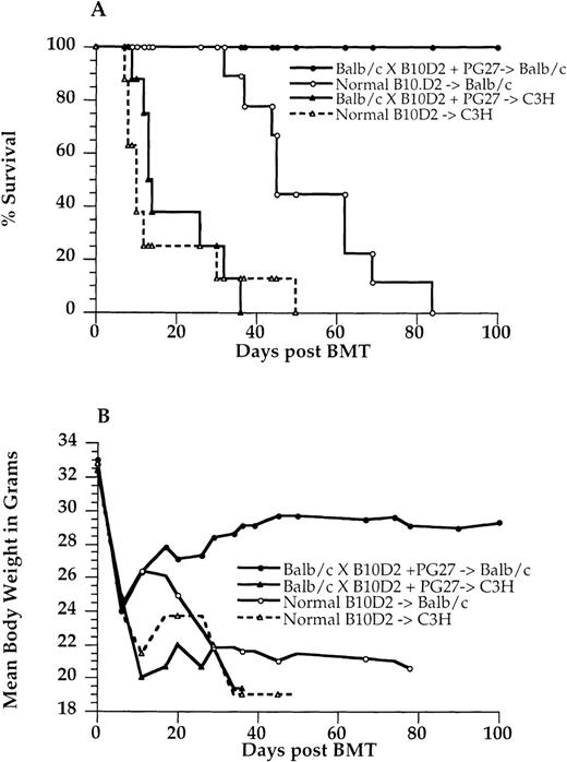 Fig. 5. Adoptive transplantation. / The PG27 recipients treated 100 days after bone marrow transplantation were used as adoptive donors. Lethally irradiated (8 Gy) BALB/c mice were used as same-party adoptive recipients, and lethally irradiated (9.5 Gy) C3H mice were used as third-party adoptive recipients. 2.5 × 105 bone marrow cells and 10 × 106 spleen cells from adoptive donors were injected intravenously into BALB/c or C3H adoptive recipients. In control groups, normal B10.D2/nSnJ mice were used as donors, and the same numbers of bone marrow and spleen cells were transplanted in lethally irradiated BALB/c or C3H mice. These adoptive recipients were observed for 100 days without any treatment. (A) Survival curve. (B) Mean body weight curve. Data are pooled from 2 similar experiments.