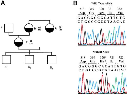 Fig. 1. Characterization of prothrombin San Antonio. / (A) The prothrombin San Antonio family. Half-filled circles: Family members identified to be heterozygous for the prothrombin San Antonio gene. Open squares: Family members identified to be homozygous for the normal allele. Prothrombin activity (numerator) and antigen (denominator) levels are indicated for several family members. P, proband; F, father; M, mother; A, Aunt; S1-S3, sons. (B) The cloned PCR product for exons 8 and 9 was analyzed by DNA sequence analysis. (asterisk) Mutation resulting in the substitution of His for Arg320. Sequences for the complementary strand of the wild-type allele (top) and the mutated prothrombin allele (bottom) were obtained directly from sequencing. Red, T; green, A; black, G; and blue, C. (C) Identification of the mutation at nucleotide 7543 in the prothrombin gene by Hha I-restriction enzyme digestion. (top) Schematic representation of the Hha I-restriction map of the PCR products for exons 8 and 9 from the wild-type (WT) and the mutant prothrombin allele. (bottom) Hha I digestion fragments of the PCR products from the proband and her family members (see part A). Fragment sizes in bp are indicated. UD, undigested. (D) Western blot analysis of the activation of prothrombin by Ecarin (in the presence of hirudin) from a normal control (N) and the maternal aunt of the proband (A). Plasma activated with Ecarin in the presence of hirudin was fractionated by 10% SDS-PAGE in the absence (top) or presence (bottom) of β-mercaptoethanol. The mobility of prothrombin is indicated (h-FII). The incubation time of plasma sample with Ecarin is indicated at the top.