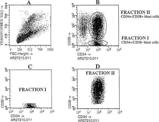 Fig. 2. Flow cytometric analysis of Ph1-ALL cells purified according to their distribution of CD34 and CD38 expression. / Cells from PBLs of patient No. 2 were analyzed by flow cytometry. The blast lymphoid gated cell population was then analyzed for CD34 and CD38 expression. Circles containing cells that express CD34++CD38− and CD34+CD38+ cells were chosen as the sorting region. These cells, fractionated into pure CD34++CD38− and CD34+CD38+ subgroups, were transplanted into NOD/SCID mice.