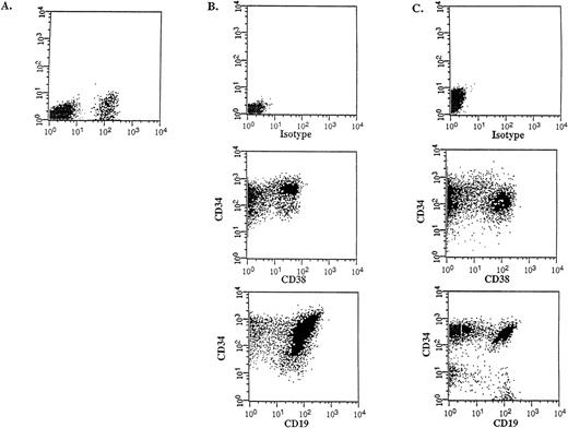 Fig. 4. In vivo differentiative capacity of SL-ICs analyzed by flow cytometry. / Cell surface marker analysis of a representative engrafted NOD/SCID mouse is shown. (A) Six weeks later, bone marrow cells from a NOD/SCID mouse implanted with 105 CD34++CD38−cells from patient No. 5 were analyzed by flow cytometry. Cells were stained with anti–CD45 mAb and the mouse isotype IgG1 control mAb. Viable cells were sorted according to their CD45 expression. (B) The CD45+ gated cells were stained with anti–CD34-FITC, anti–CD38-PE, and anti–CD19-PE mAbs, respectively. (C) Identical cell surface marker analysis was performed on the original blasts of patient No. 5.