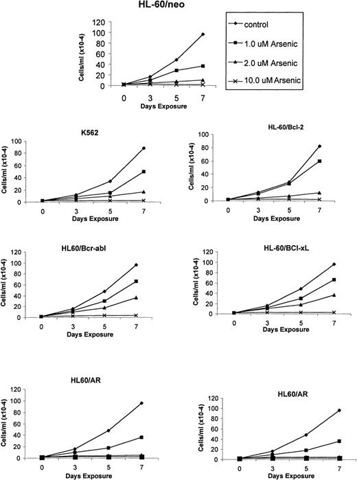 Fig. 1. As2O3 (arsenic)-mediated growth inhibition of K562 and the various HL-60 cell types. / Cells were incubated with the indicated concentrations and exposure intervals of As2O3. After this treatment, total number of cells were counted using a Coulter Z2 particle count and size analyzer. Data represent the mean of 4 independent experiments.