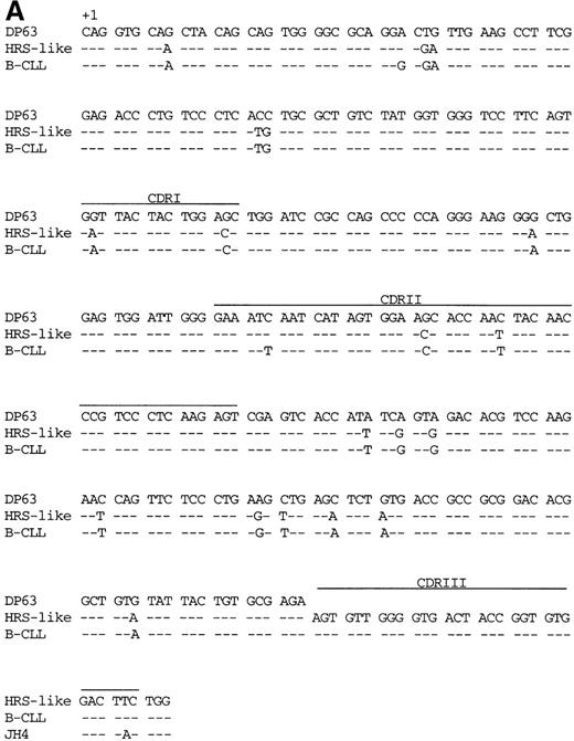 Fig. 2. V gene sequences from patient 1. / Sequences of (A) the VH4 gene rearrangement and (B) the potentially functional Vλ3 gene rearrangement of the HRS-like and B cells of CLL are compared to the most homologousV germline genes and J segments.35-38Dashes indicate sequence identity. Codons are numbered according to Kabat et al.34 CDRI-CDRIII are indicated.