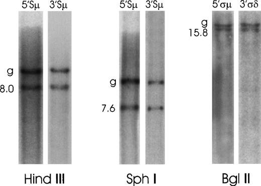 Fig. 4. Southern blot analysis of switch μ/δ regions in case No. 3. / Probes for the μ and δ switch regions all cohybridized to germline fragments and to smaller rearranged fragments.