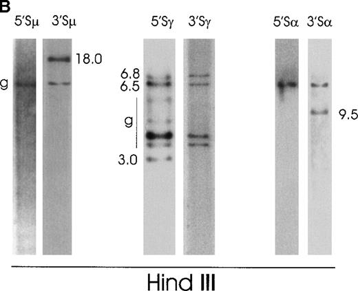 Fig. 5. Southern blot analysis of switch regions in 2 patients with “high-grade” MALT lymphoma. / (A) Case No. 6 shows 2 illegitimate switch fragments identified by the 5′Sμ probe and by the 3′Sμ probe on an SphI digest. Two additional illegitimate switch fragments are identified by the 5′ςμ and the 3′ςδ probes on a BglII digest. (B) Case No. 7 presents 1 illegitimate 3′Sμ fragment, 3 5′Sγ fragments (2 of them cohybridize with the 3γ probe), and 1 3′Sα fragment, all on HindIII digest.