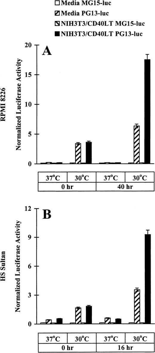 Fig. 2. Effect of CD40 activation on p53 transactivation in RPMI 8226 and HS Sultan MM cell lines. / RPMI 8226 (A) and HS Sultan (B) cells (10 × 106/sample) were transfected with either PG13-luc, a plasmid containing 13 copies of normal p53-binding site, or with MG15-luc, a plasmid containing 15 copies of mutated p53-binding site, using electroporation. Tumor cells were incubated at 37°C for 14 to 16 hours and cultured in media and with formalin-fixed NIH3T3/CD40LT at 37°C or 30°C for up to 40 hours. Cells were harvested, and luciferase activity was normalized to total cellular protein content. Experiments were performed in triplicate, and results are expressed as mean ± SEM normalized luciferase activity.