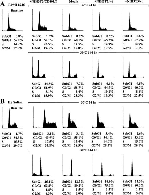 Fig. 6. Effect of temperature on cell cycle profile of CD40-activated RPMI 8226 and HS Sultan MM cell lines. / RPMI 8226 (A) and HS Sultan (B) cells were cultured in media and with formalin-fixed NIH3T3/CD40LT, NIH3T3/wt, or NIH3T3/vt at 37°C or 30°C for up to 144 hours. The cell cycle profile was assessed using PI staining and flow cytometric analysis (0.5 × 106cells/sample) at 0 hour and at culture conditions in which maximum cell cycle effects were noted at 24 hours for cultures at 37°C and at 144 hours for cultures at 30°C.