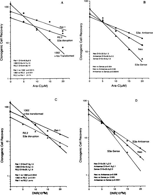 Fig. 4. Dose-response curves for Rat-1 cells and sublines R2,2 and 1302 exposed to either ara-C (A) or DNR (C). / Dose-response curves for U937 cells transfected with vector only or S3a in the sense or antisense orientations. (B) Cells exposed to ara-C. (D) Cells exposed to DNR. The slopes and the comparisons of slopes are shown for each panel.