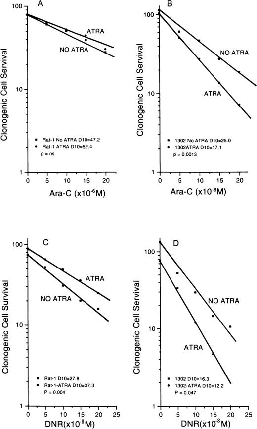 Fig. 6. Survival curves of Rat-1 cells and subline 1302 exposed to either ara-C (top panels) or DNR (bottom panels) after 24-hour treatment with ATRA (10−7 mol/L). / For the parental cells, there was no significant change in D10 (A) or the cells became more resistant (C). For 1302 cells, D10 values were decreased significantly after ATRA for cells exposed to ara-C (B) or DNR (D). Results with R2,2 cells were similar to the parental controls and are not shown.
