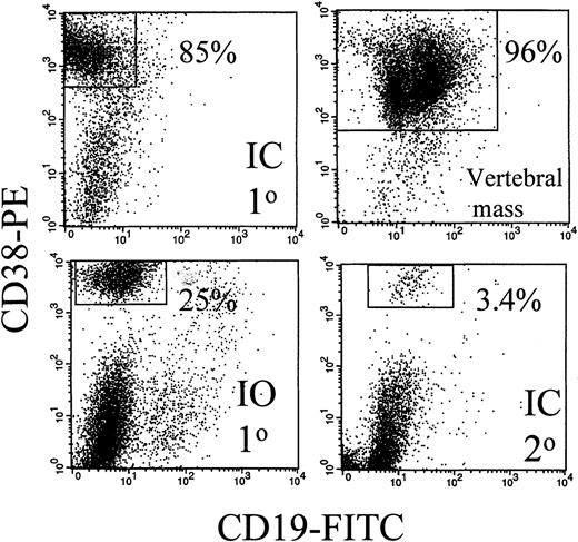 Fig. 1. The BM and a vertebral mass from MM-engrafted mice includes human CD38hi plasma cells. / Mouse BM was removed from the femurs, the red cells lysed, and the remaining cells stained with CD38 and CD19 mAbs in 2-color immunfluoresence. Representative dot plots from 3 different mice and from 1 vertebral tumor are shown. No CD38hi cells were detected in uninjected control mice (not shown).