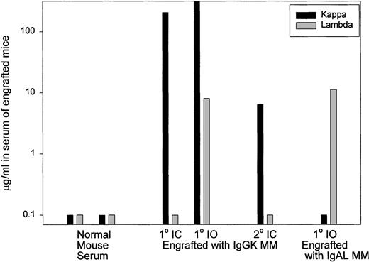 Fig. 2. Human light chain is detectable in serum from MM-engrafted mice. / Representative analysis of sera from control mice, mice injected IC with human myeloma, a mouse injected IO with human myeloma, and from a secondary recipient mice injected with BM from primary MM-engrafted mice was analyzed by ELISA for human kappa and lambda light chain. The black histograms represent expression of kappa light chain and gray bars represent expression of lambda light chain. Normal mouse serum was from uninjected mice.
