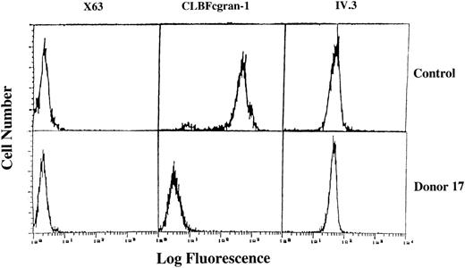 Fig. 1. Immunofluorescent flow cytometry analysis of neutrophils from donor 17 and control. / Cells were stained with indicated mAbs followed by FITC-conjugated-F(ab')2 sheep antimouse IgG. CLBFcgran-1 is an antiCD16 mAb; IV.3 is an anti-CD32A mAb. X63 is a nonbinding mouse myeloma IgG.