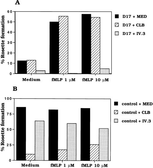 Fig. 5. Effect of fMLP treatment of neutrophils on rosette formation with EA. / Neutrophils (1 × 107/mL) from control and donor 17 were incubated with RPMI 1640 medium without serum in the absence or presence of fMLP (1 μmol/L, 10 μmol/L) for 30 minutes at 37°C. After washing the cells in RPMI 1640/2% IgG free fetal bovine serum, the rosette formation of neutrophils from donor 17 (A) and control (B) with E was performed as described in “Materials and Methods.” Experiments were performed in duplicate.
