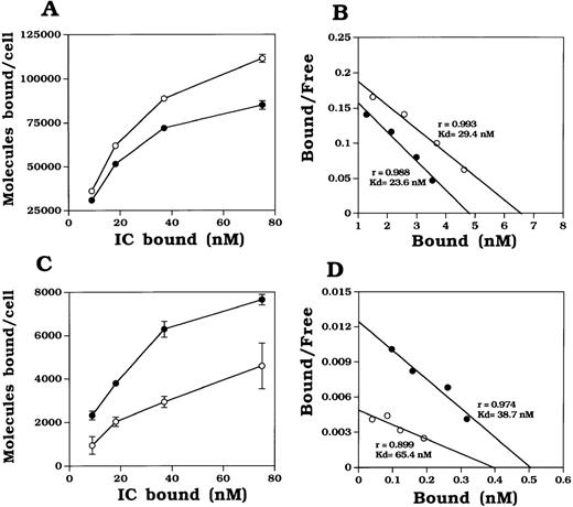 Fig. 6. Effect of neutrophil activation on binding of soluble immune complexes by CD32A. / 125I-Transferrin/rabbit antihuman transferrin IgG immune complex (125I-IC) was prepared as described in “Materials and Methods.” The molecular size of the IC was determined by gel filtration. fMLP (1 μmol/L) activation of neutrophils was performed as described in the legend to Figure 5. After washing the cells with RPMI 1640/2% IgG-free fetal bovine serum,125I-IC binding was carried out as described in “Materials and Methods.” Total binding (A) of IC to unactivated (open circle) and activated (closed circle) neutrophils was performed in the presence of a binding buffer. CD32A-dependent binding (C) was performed in the presence of Fab fragments of anti-CD16 mAb, CLBFcgran-1. Scatchard plot analysis of total binding (B) and CD32A-dependent binding (D) was done after converting the specific binding to bound/free IC as functions of the bound IC. Binding in the presence of a 50-fold excess of Fab fragments of mAbs against CD16B and CD32A was taken as nonspecific binding. The IC bound to neutrophils in binding buffer was taken as 100%. Experiments were performed in triplicate.