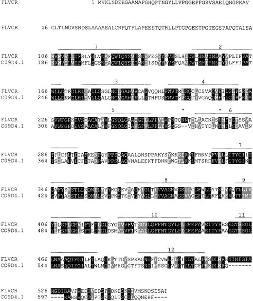 Fig. 2. Sequence comparison of the feline leukemia virus-C (FeLV-C) receptor (560 amino acids) and a putative D-glucarate transporter of C. elegans, the 623 amino acid C09D4.1 gene product (GenBank accession no. AF002196). / The receptor (aa 106-550) shares 44% sequence identity with the putative transporter (aa 186-617). Amino acid identities are marked with dark shading, and similarities are indicated with light shading. Predicted transmembrane regions are shown as lines over the amino acid sequence, and two potential N-glycosylation sites are marked by an asterisk.