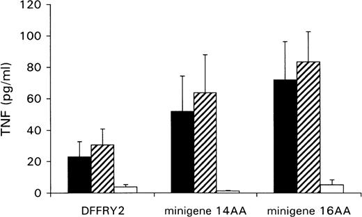 Fig. 5. Minigenes encode epitope recognized by HLA-A1 HY. / HeLa cells were cotransfected with DFFRY2 or minigene cDNA and HLA-A1 cDNA (black bars), or HLA-A1 stably transfected HeLa cells were transfected with DFFRY2 cDNA only (hatched bars). As a control, HeLa cells were transfected with DFFRY2 or minigene cDNA only (white bars). Forty-eight hours after transfection, HLA-A1 HY was added. The culture supernatants were harvested 1 day later and were tested for TNF production.