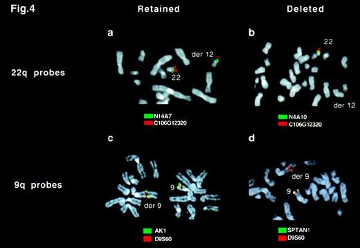 Fig. 4. FISH analysis of deletions by using locus-specific probes. / Ph-positive metaphases from a patient with a variant Ph translocation t(9;12;22)(q34;q11;q11) were hybridized with probes from chromosome 9 (A and B) or 22 (C and D). (A) C106G1220 (red) and N14A7 (green) signals were observed on both the normal 22 and derivative 12 chromosome. (B) C106G1220 and N4A10 signals were seen on the normal 22, but only the C106G1220 signal was detectable on the derivative 12 chromosome. (C) D9S60 (red) and AK1 (green) signals were observed on both the normal 9 and the derivative 9 chromosome. (d) D9S60 and SPTAN1 signals were seen on the normal 9 chromosome, but only the D9S60 signal was detectable on the derivative 9 chromosome.