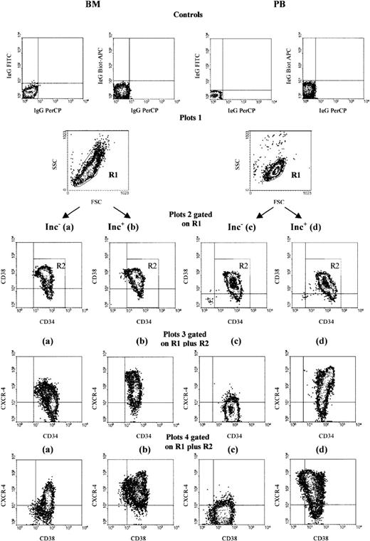 Fig. 1. CXCR-4 expression is heterogeneous on PB and BM CD34+ cells and is up-regulated on PB Inc+CD34+ cells. / BM and PB CD34+ cells were purified immediately after density gradient separation (Inc−, plots a and c) or after incubation on a plastic support (Inc+, plots b and d). Cells were stained with CD34-PerCP, CD38-FITC, and CXCR-4-biotin-APC antibodies and analyzed by 3-color cytometry. An R1 region was first drawn by selecting the lymphomononuclear cells and excluding dead cells on an FSC/SSC dot plot (plot 1). A second region R2 corresponding to CD34+ cells was drawn on a second CD34-PerCP/CD38-FITC dot plot gated on R1 (plot 2). Expression of CXCR-4-APC versus CD34-PerCP (plots 3) and of CXCR-4-APC versus CD38-FITC (plot 4) was then assessed on the additive R1 plus R2 gates. The arbitrary quadrants were drawn on the basis of isotype-matched negative control profiles (top dot plot). The results shown are for 1 experiment representative of the 5 to 8 performed.
