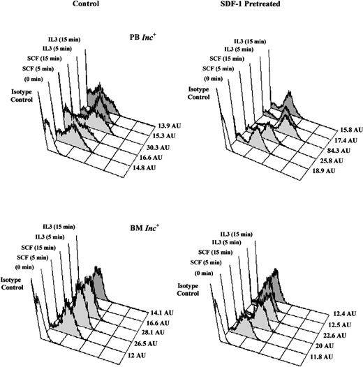 Fig. 9. SDF-1 increases SCF-induced tyrosine phosphorylation in PB Inc+ CD34+ cells. / PB and BM CD34+ cells purified after incubation on a plastic support (Inc+) were pretreated without (control) or with SDF-1 (0.05 ng/mL) for 20 hours in serum- and cytokine-free medium (Stem α A) at a density of 5 × 104cells/mL. Cells were harvested, washed by centrifugation, and stimulated, with SCF (10 ng/mL) or IL-3 (10 ng/mL), for 5 to 15 minutes at 37°C. The time course of total tyrosine phosphorylation was detected by flow cytometry after intracellular anti-phosphotyrosine labeling. Histograms from a typical donor are presented. The MFI (AU) of positive cells for phosphotyrosine are shown for each histogram.