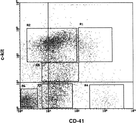 Fig. 1. Expression of CD41 and c-kit on murine lineage-negative marrow cells. / A gate was set on CD41bright and c-kitbrightcells. Six sorting gates were established (R1-R6) and each tested individually for MK and GM colony-forming capacity. The results of these assays are shown in Table 4.