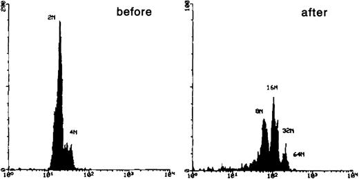 Fig. 3. DNA histogram of CD41brightc-kitbright cells before and after incubation with TPO. / Sorted CD41bright c-kitbright cells were labeled with Hoechst 33342 followed by Cy-chrome-conjugated secondary antibody and analyzed by flow cytometry.