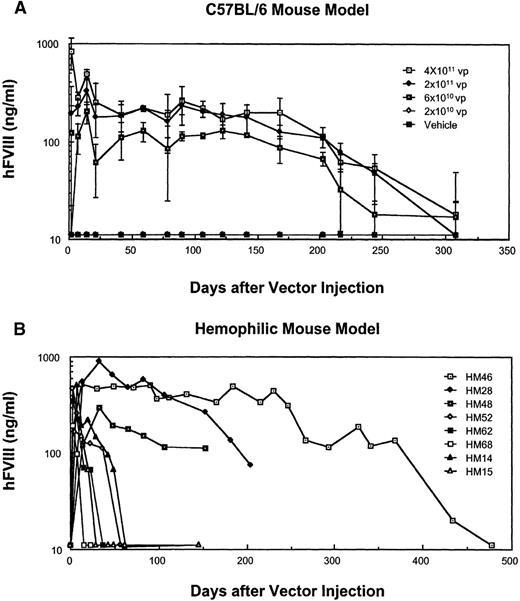 Fig. 3. Expression of hFVIII in vivo. / (A) Dose-response study in C57BL/6 mice. Three individuals per dose were used, and FVIII expression was measured by ELISA. Mean ± SD is depicted. (B) Expression of hFVIII in hemophilic mice injected with 2 × 1011 vp of MiniAdFVIII, as measured by ELISA. Representative individuals are shown.