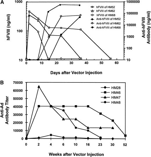 Fig. 4. Detection of humoral immune responses in hemophilic mice. / (A) Example of anti-hFVIII antibody responses in hemophilic mice 52, 62, and 68 as measured by ELISA. The mice received MiniAdFVIII by tail vein injection at 2 × 1011 vp/mouse. Representative individuals are shown. (B) Anti-Ad antibody responses in hemophilic mice 28, 46, 47, and 48. The mice were given a single injection of MiniAdFVIII (2 × 1011 vp/mouse) and bled at various time points after injection. The anti-Ad IgG titers were measured by ELISA. Endpoint titers are defined as the reciprocal of the last serum dilution giving a half-maximal OD490 reading of 1.5.