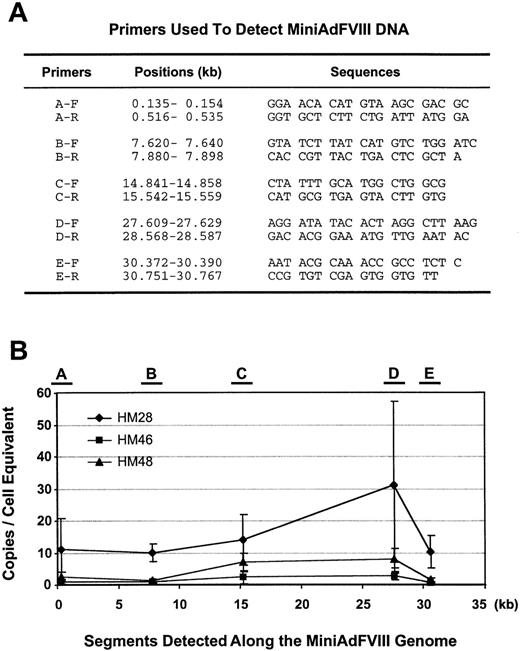 Fig. 6. PCR detection of the MiniAdFVIII vector in vivo. / (A) Primers used to detect junctions between critical fragments in the MiniAdFVIII genome. Five pairs of primers (F = forward; R = reverse) and their sequences are listed. The positions of the primers are marked as the nucleotide length (kb) along the MiniAdFVIII genome. (B) Copies of the vector DNA per cell equivalent were determined at 5 positions along the length of the MiniAdFVIII genome. Locations of the primers are mapped at the top of the panel, and the position of detected segments along the vector genome are indicated in kb on the X-axis.