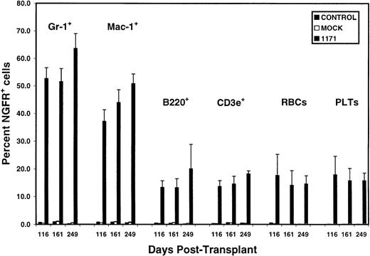 Fig. 3. Stable long-term transgene expression in all peripheral donor white blood cell types with preferential representation of NGFR+ cells in Gr-1+ and Mac-1+donor WBCs. / NGFR expression was analyzed by flow cytometry as in Figure 1. Data represented the mean percentage ± SEM of NGFR+ cells in peripheral blood of 7 mice from experiment 2 at various time-points after transplantation of bone marrow cells transduced with the 1171 vector. There were no significant declines (P < .05) in the percentage of NGFR+ cells within a given phenotypic cell population sampled after the second month after transplantation. Note that the frequency of NGFR+ cells was consistently greater in Ly5.2+Gr-1+ or Ly5.2+Mac-1+ myeloid cells than in all other cell types at each time-point. For Gr-1+ versus B220+, CD3e+, RBCs, or platelets,P < .001 (n = 7) at days 116 and 161, andP < 0.03 (n = 3) at day 249. For Mac-1+versus B220+, CD3e+, RBCs, or platelets,P < .009 (n = 7) at days 116 and 161, andP < .02 (n = 3) at day 249, except for Mac-1+versus B220+. All abbreviations are as in Figures 1 and2.