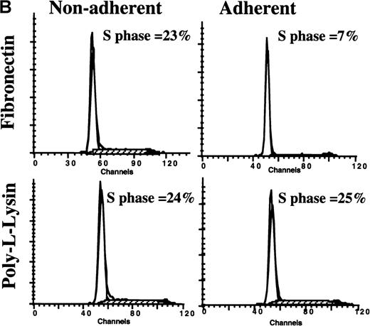 Fig. 1. Adhesion to FN. / Adhesion to FN decreases portion of blood and BM CD34+ cells and CFC that are in S phase. CD34+cells from steady-state BM or mobilized PB were cultured for 48 hours in serum-free medium with low-dose cytokines. Cells were then plated in wells coated with PLL or FN for 12 to 16 hours. We collected adherent (Adh) and nonadherent (NA) cells separately. We analyzed the S phase of CFC by thymidine suicide assay and analyzed the S phase of all CD34+ cells by labeling cells with propidium iodide and analysis by FACS. (A) Thymidine suicide assay (n = 4 for BM and n = 4 for PB). Data are shown as mean ± SEM. Comparison between the FN-Adh and the FN-NA portion for PB or BM: * = P < .01. (B) FACS analysis of propidium iodide labeled cells (n = 12). A representative experiment is shown.